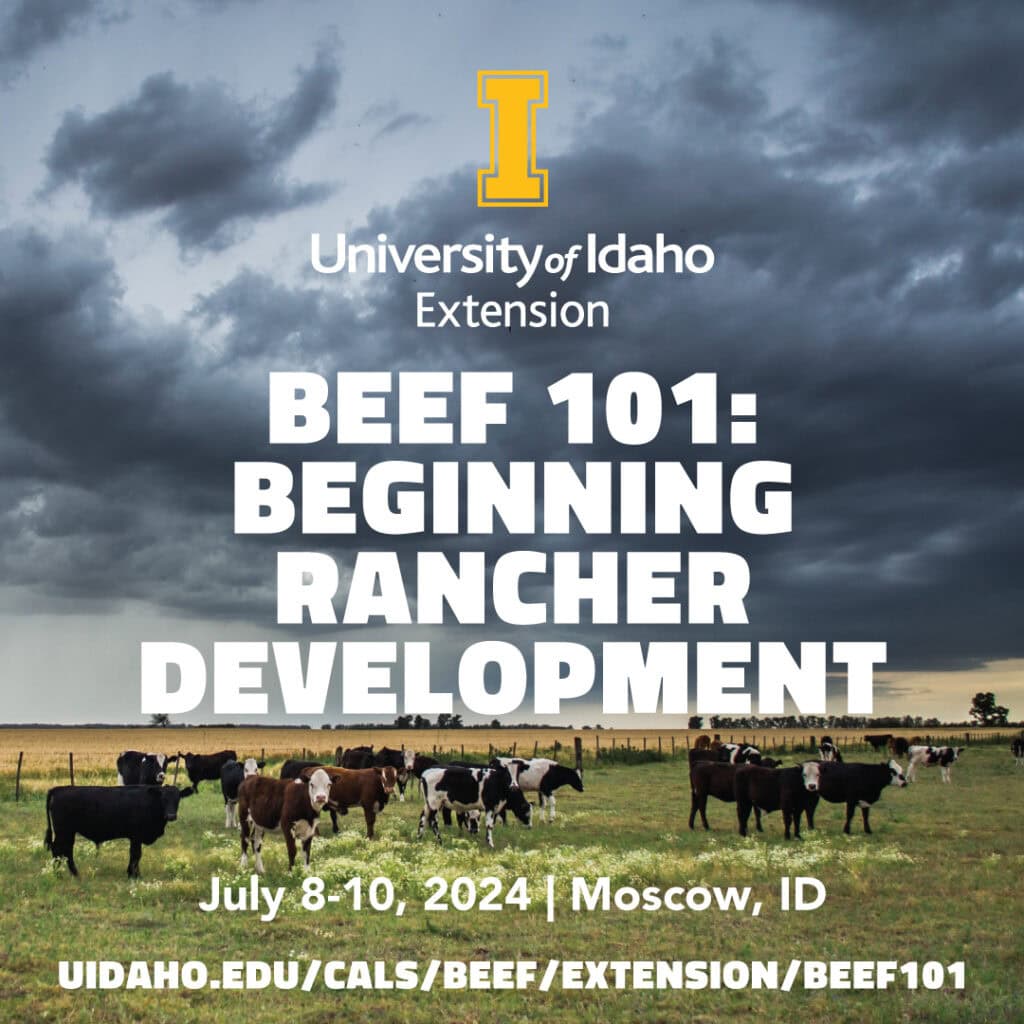 NimiipuuFund-News-May-2024-beef-101 NimiipuuFund-News-May-2024-beef-101