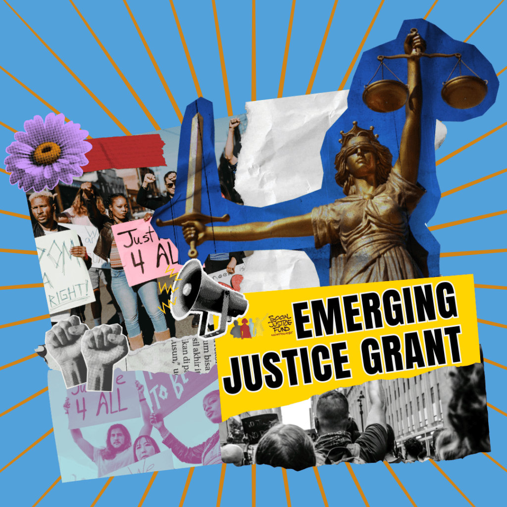 Emerging Justice Grant Social