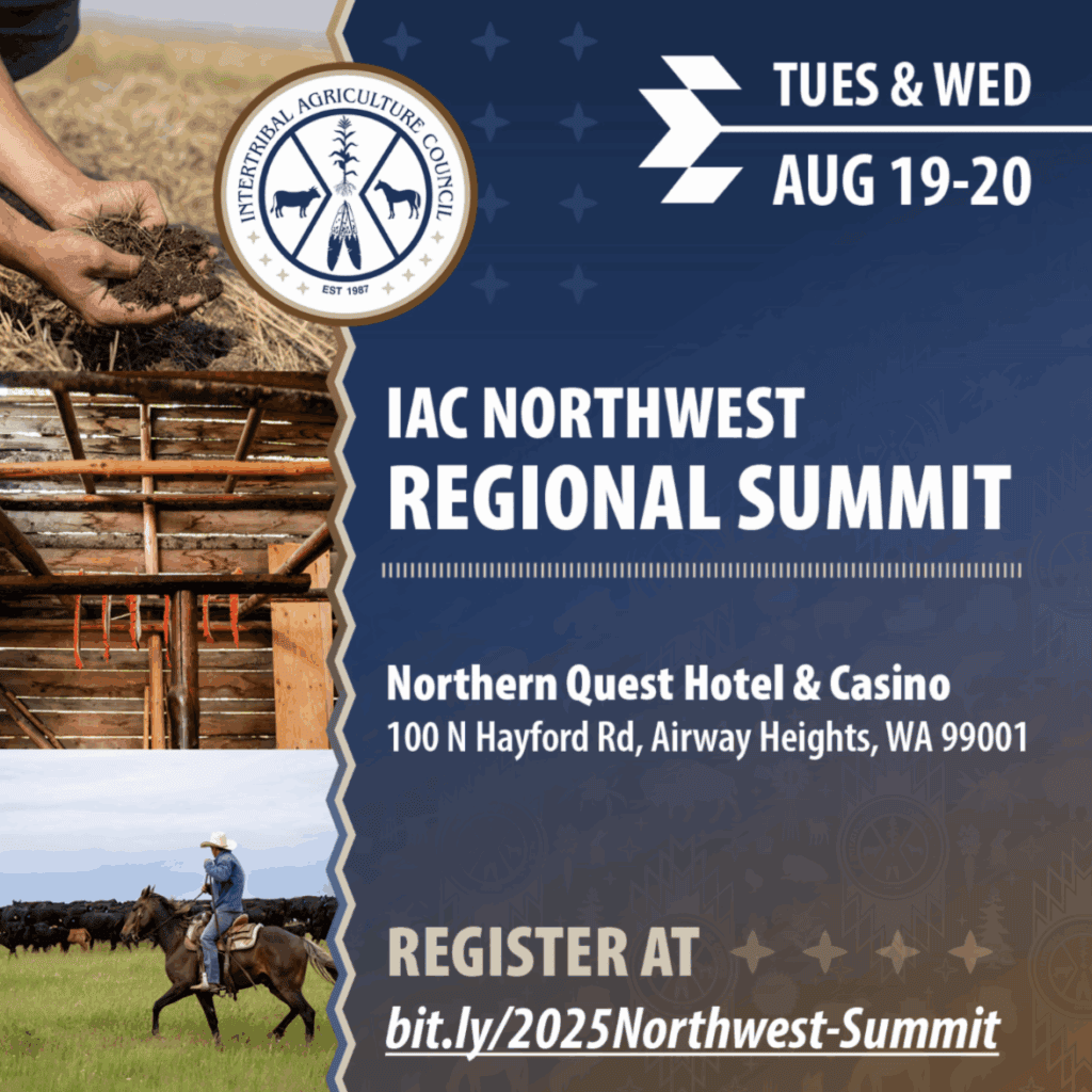 bd471d92-2836-fbbc-c2d4-46a90264c1a2