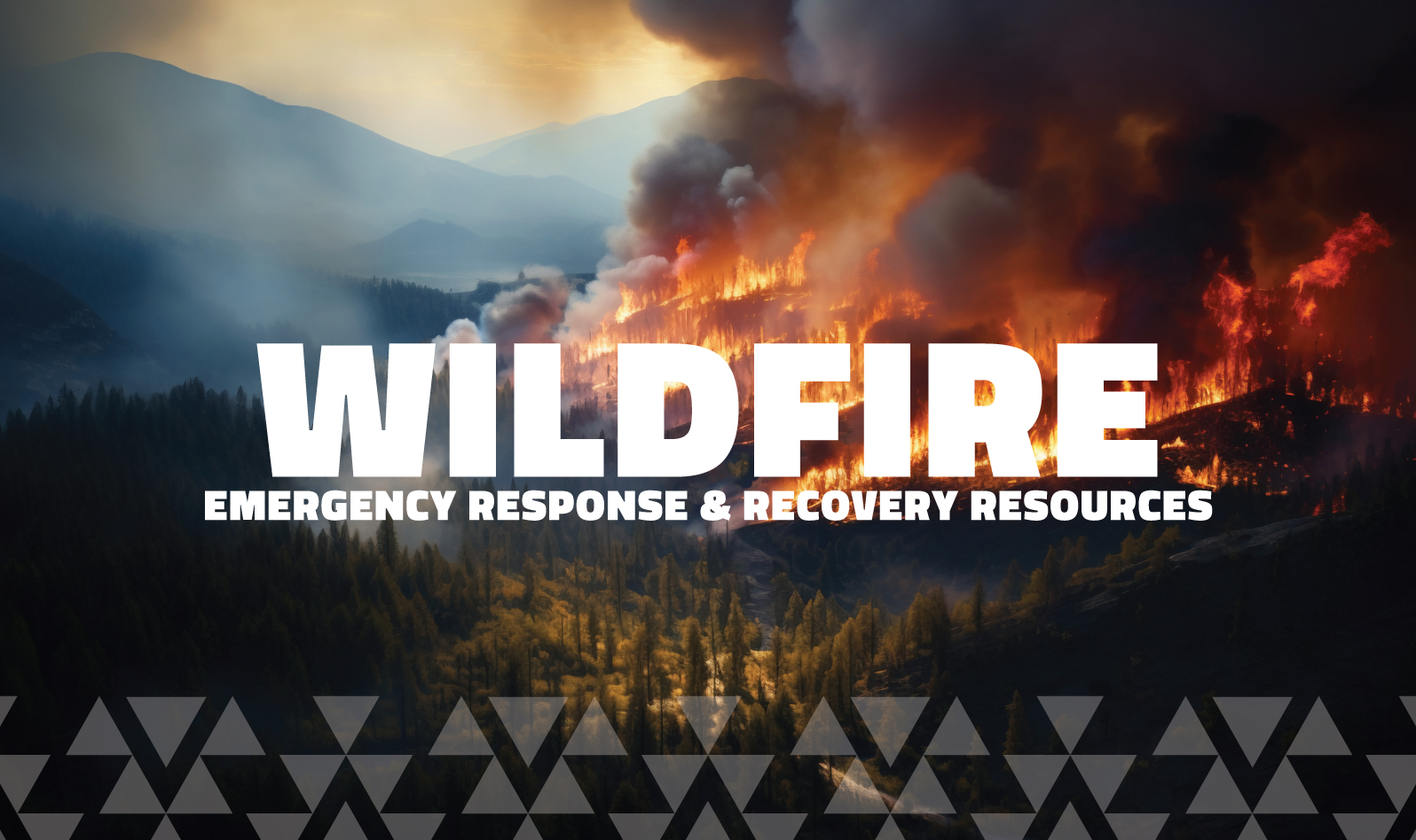 NimiipuuFund-News-2026-wildfire